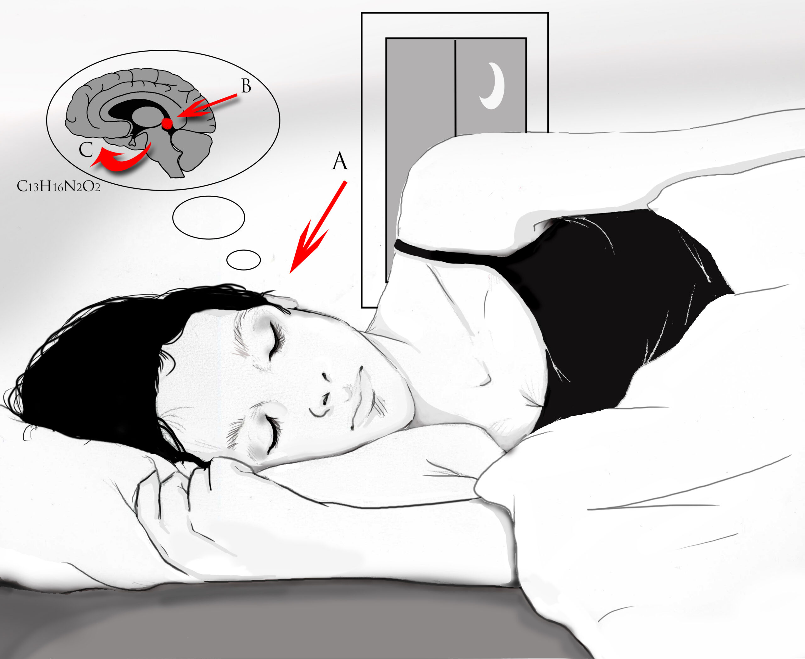 Best melatonin for sleep onset (2026) | SuppStacker
